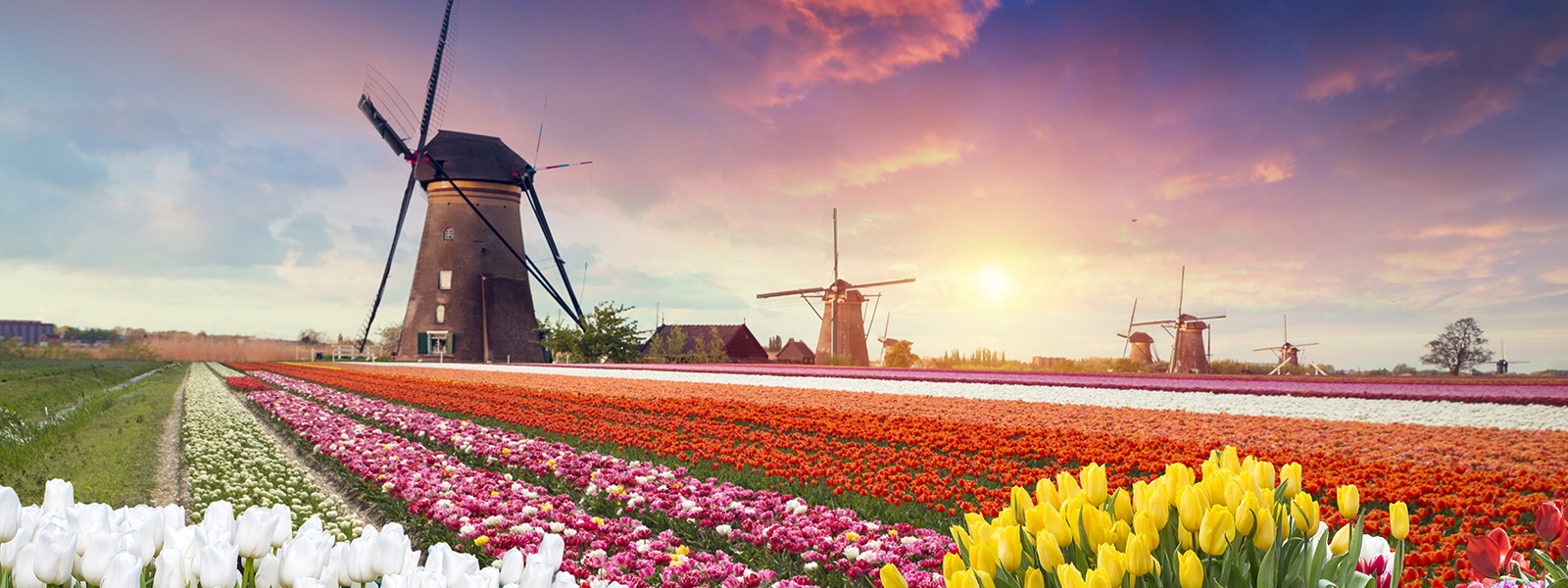 Amsterdam e Parco Keukenhof